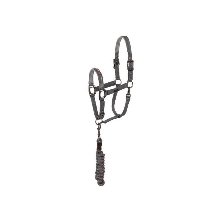 ANKY® halter and Lead stones ATH23001