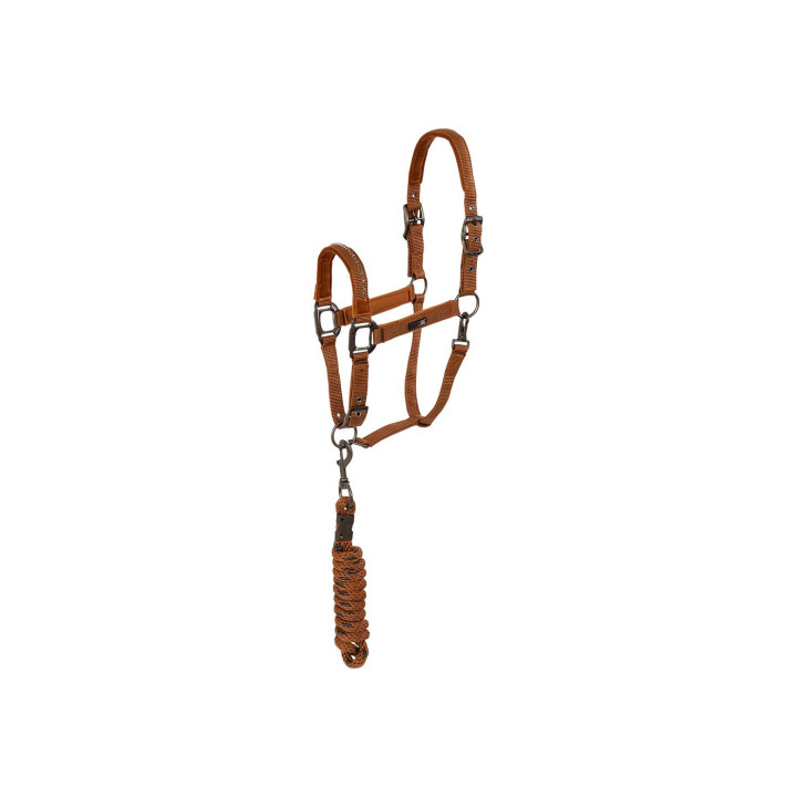 ANKY® halter and Lead stones ATH23001