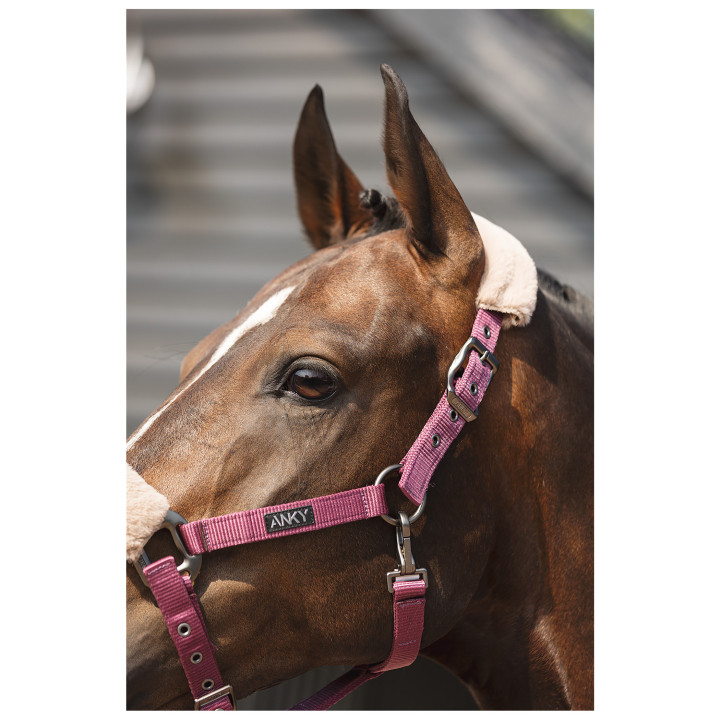 ANKY® Halter and Lead Check Velvet ATH25002