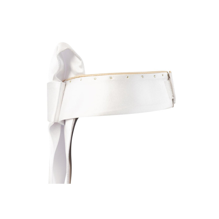 ANKY® Stock Tie Prospect plastron C-Wear ATP25501