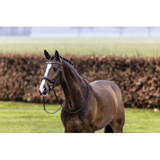 Trust Verden Large crank nb ogłowie