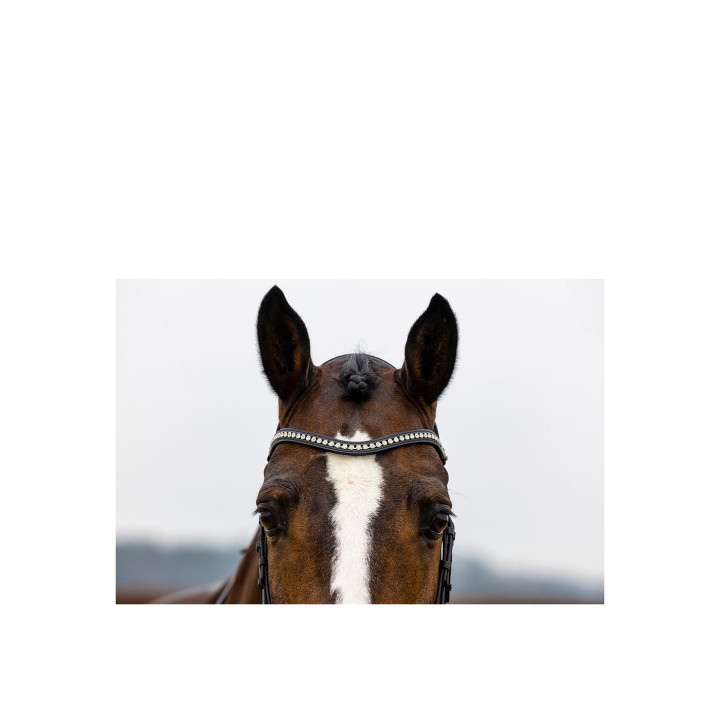 Verden Large crank nb bridle