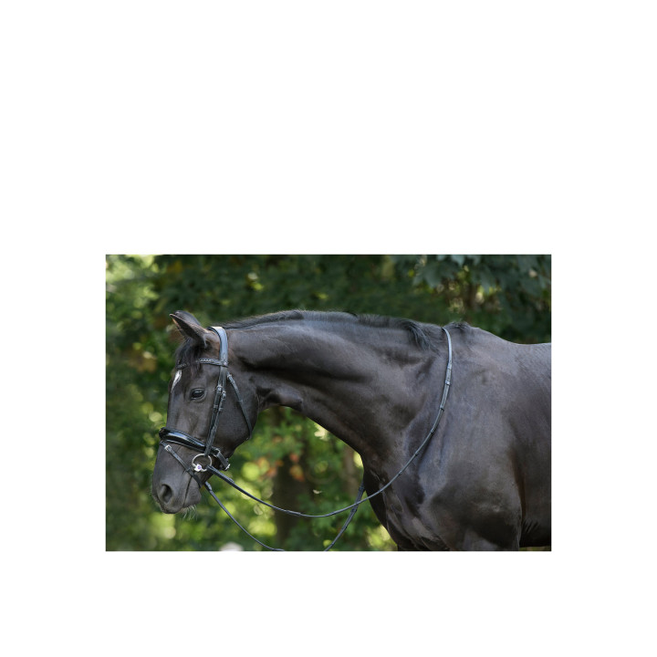 Rotterdam Large p.crank bridle