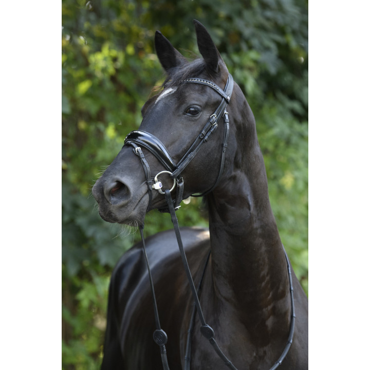 Rotterdam Large p.crank bridle