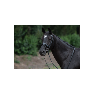 Vancouver combined noseband bridle