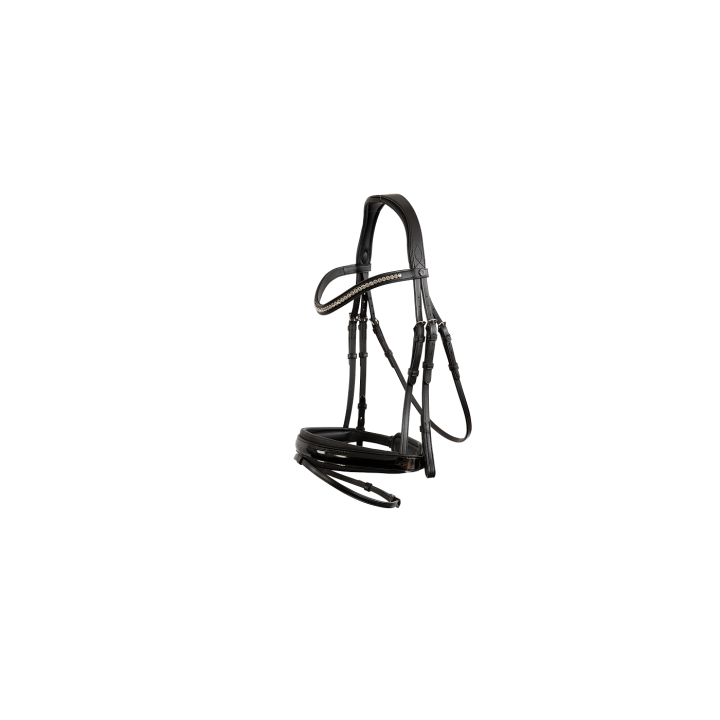 Vancouver combined noseband bridle