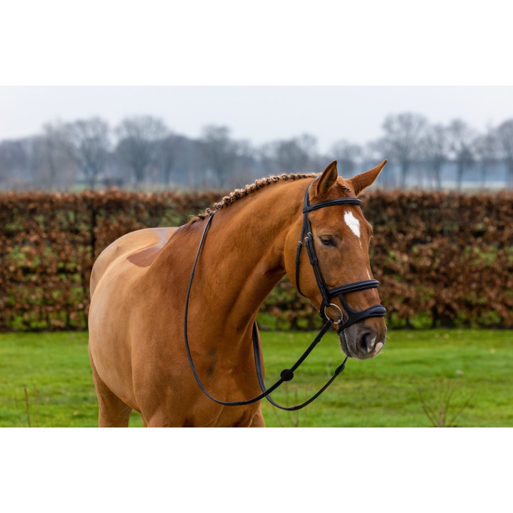 Paris Double noseband bridle