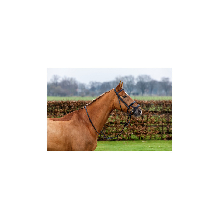 Paris Double noseband bridle