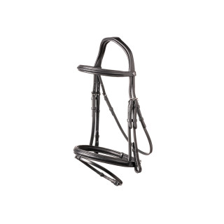Calgary Combined noseb. Bridle