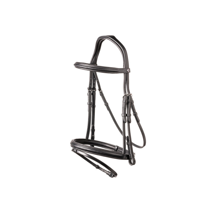 Calgary Combined noseb. Bridle