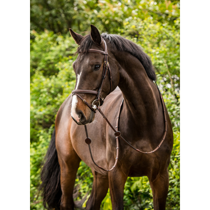 Calgary Combined noseb. Bridle