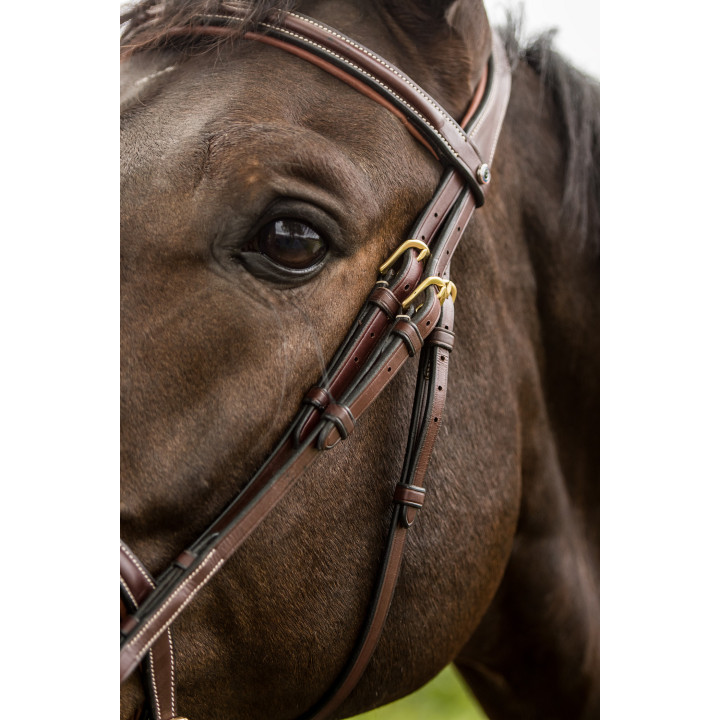 Trust Calgary ogłowie z nachrapnikiem