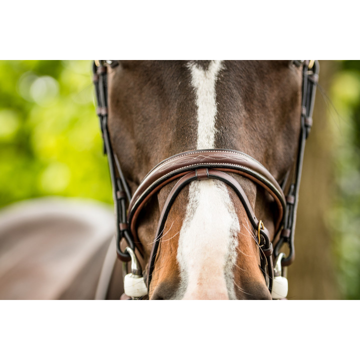Calgary Combined noseb. Bridle