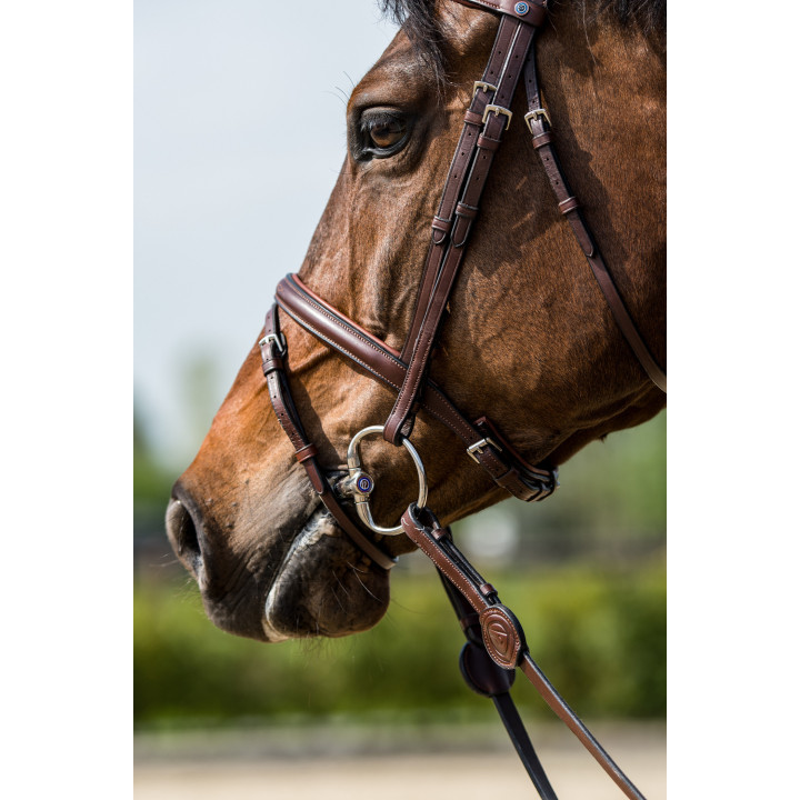 Calgary Combined noseb. Bridle