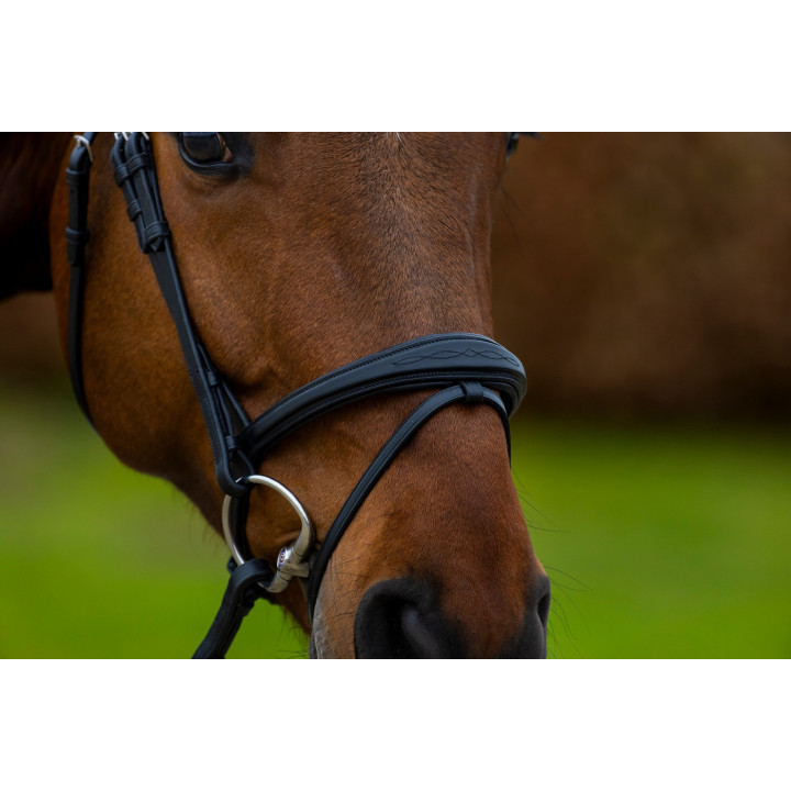 Amsterdam Comb.noseband bridle anatomic