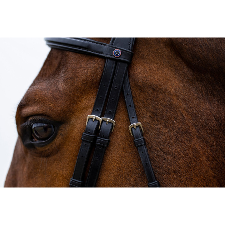 Amsterdam Comb.noseband bridle anatomic