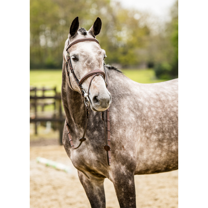 Amsterdam Comb.noseband bridle anatomic