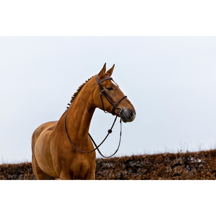 Dublin Rope noseband bridle