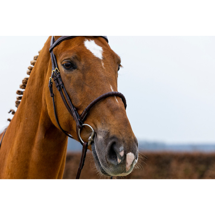 Dublin Rope noseband bridle