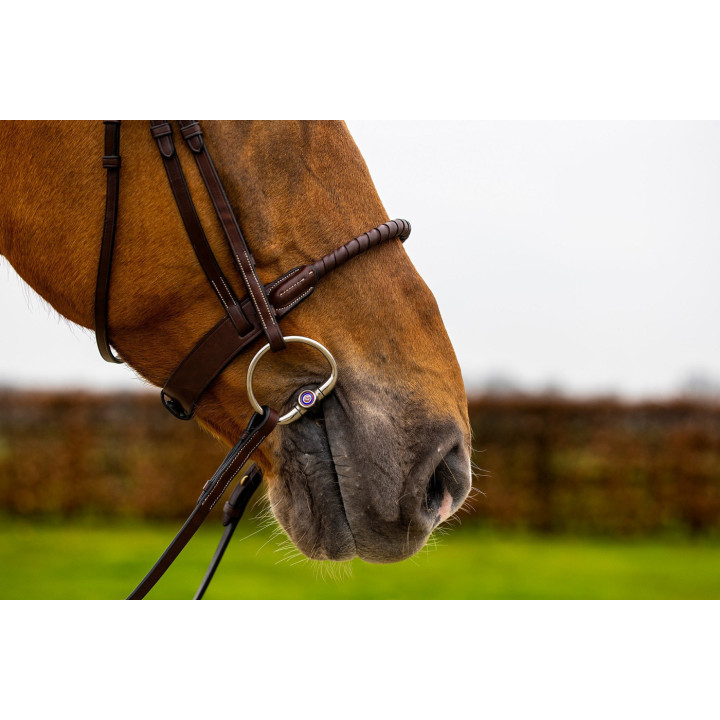 Dublin Rope noseband bridle