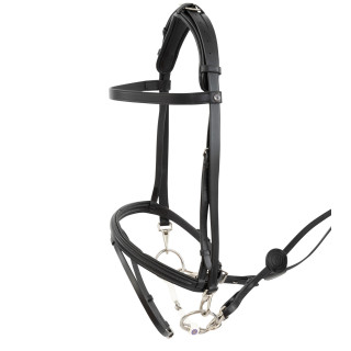 Hamburg Training bridle