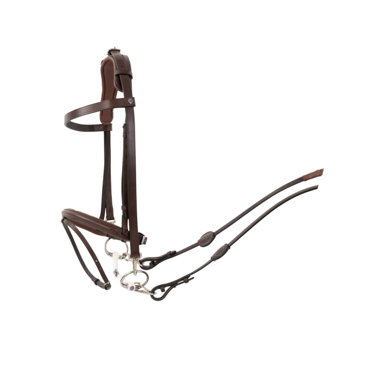 Hamburg Training bridle