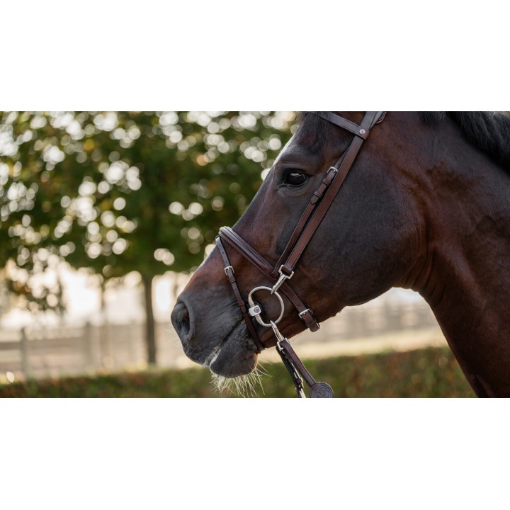Hamburg Training bridle