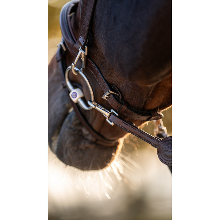 Hamburg Training bridle