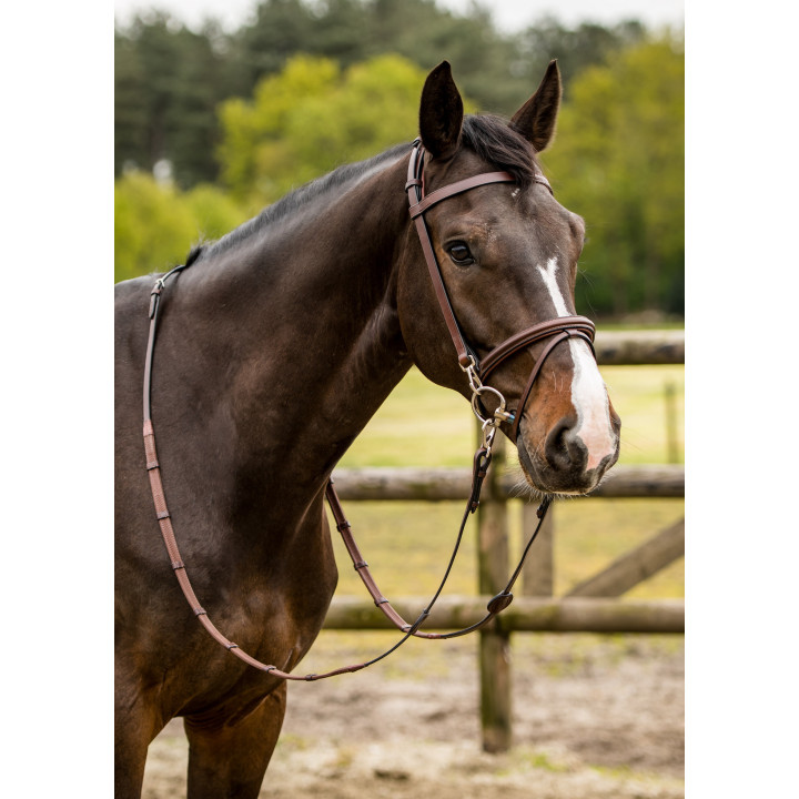 Hamburg Training bridle