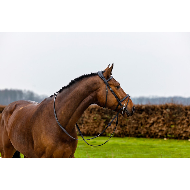 Geneva Comb.noseband bridle