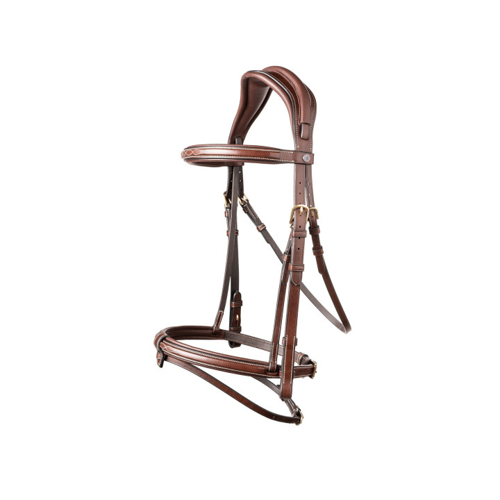 Geneva Comb.noseband bridle