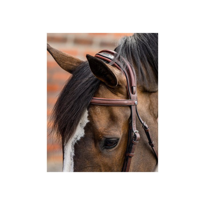 Geneva Comb.noseband bridle