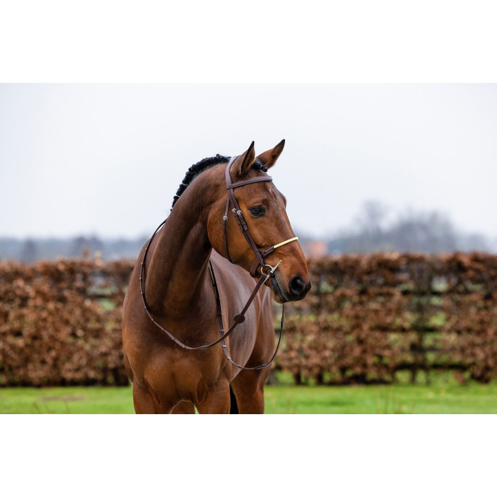 St. Gallen Rope noseb. Bridle