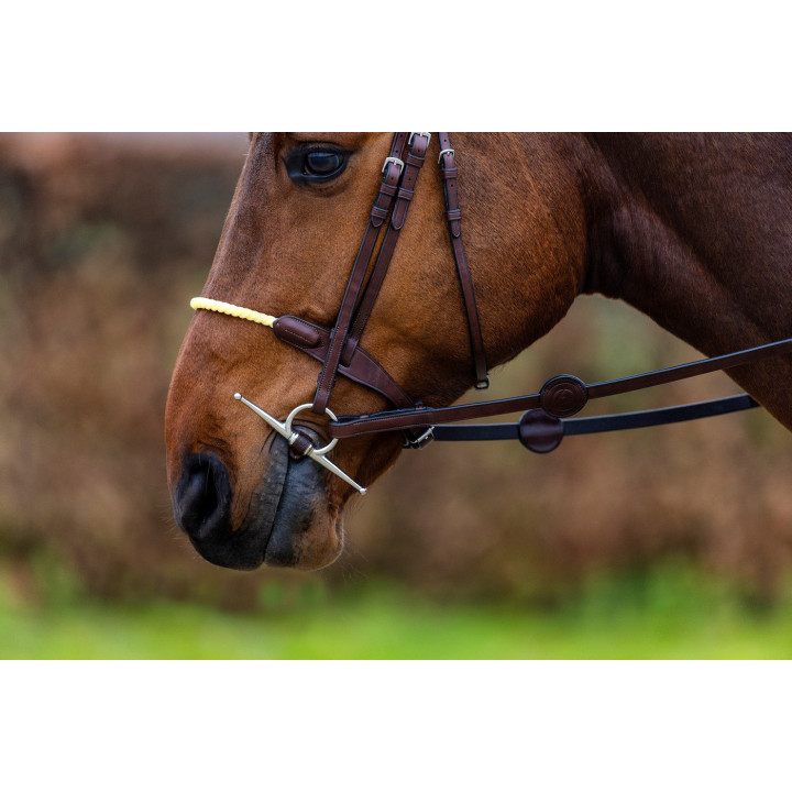 St. Gallen Rope noseb. Bridle