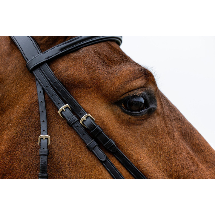 Rome Drop noseband bridle
