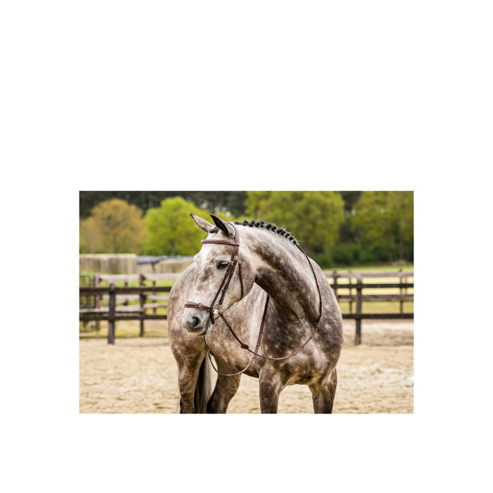 Barcelona Adj. drop nb bridle