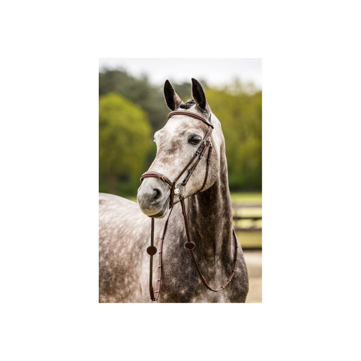 Barcelona Adj. drop nb bridle