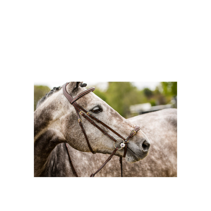 Barcelona Adj. drop nb bridle