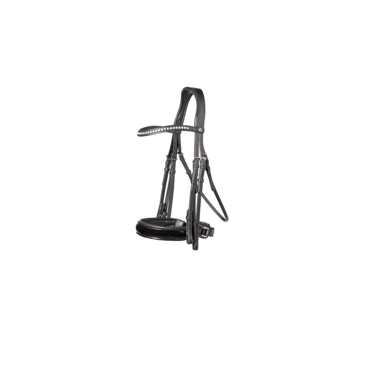 Aachen Large p crank NB double bridle