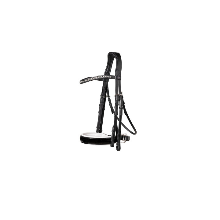 Aachen Large p crank NB double bridle