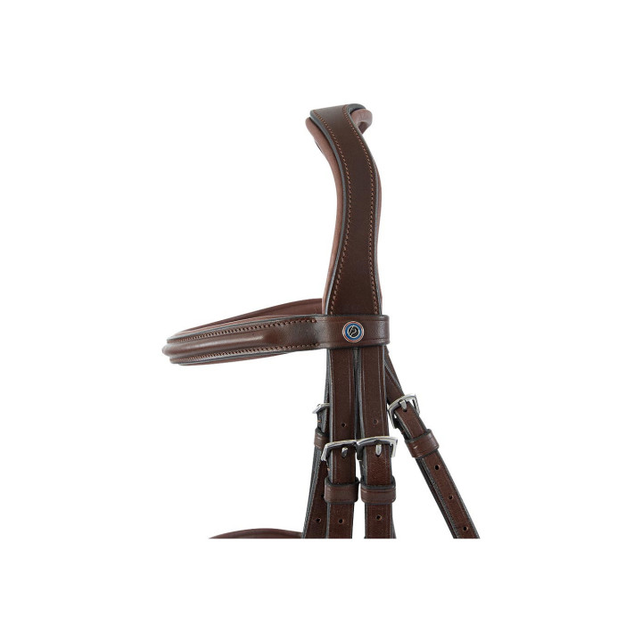 Trust Ogłowie Abu Dhabi