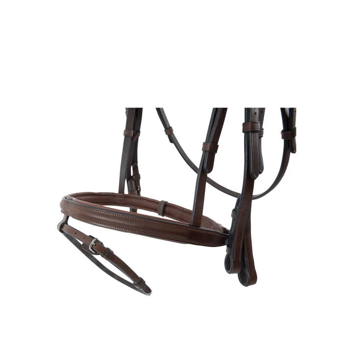 TRUST Bridle Abu Dhabi