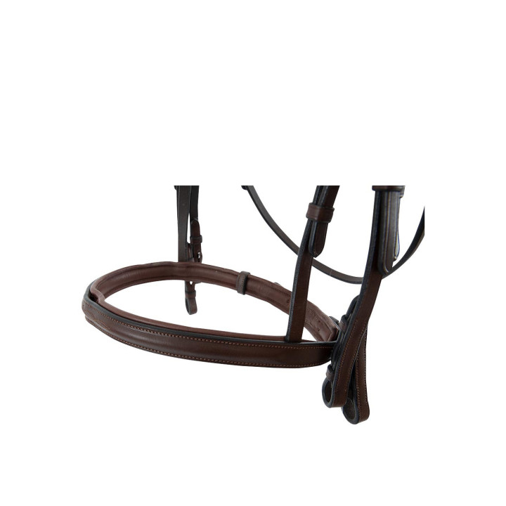 TRUST Bridle Abu Dhabi