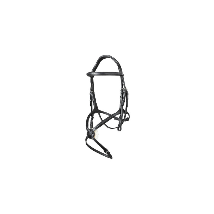 Oslo Mexican noseband bridle