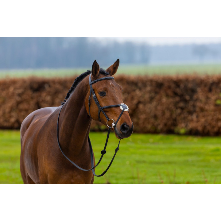 Oslo Mexican noseband bridle