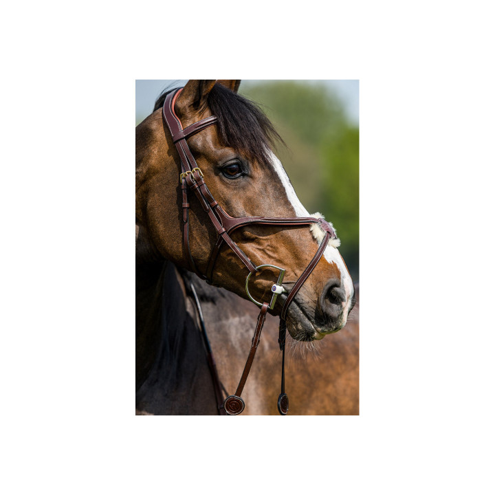 Oslo Mexican noseband bridle