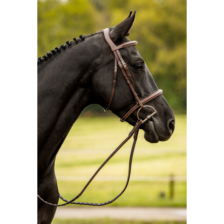 Hunter bridle Kentucky