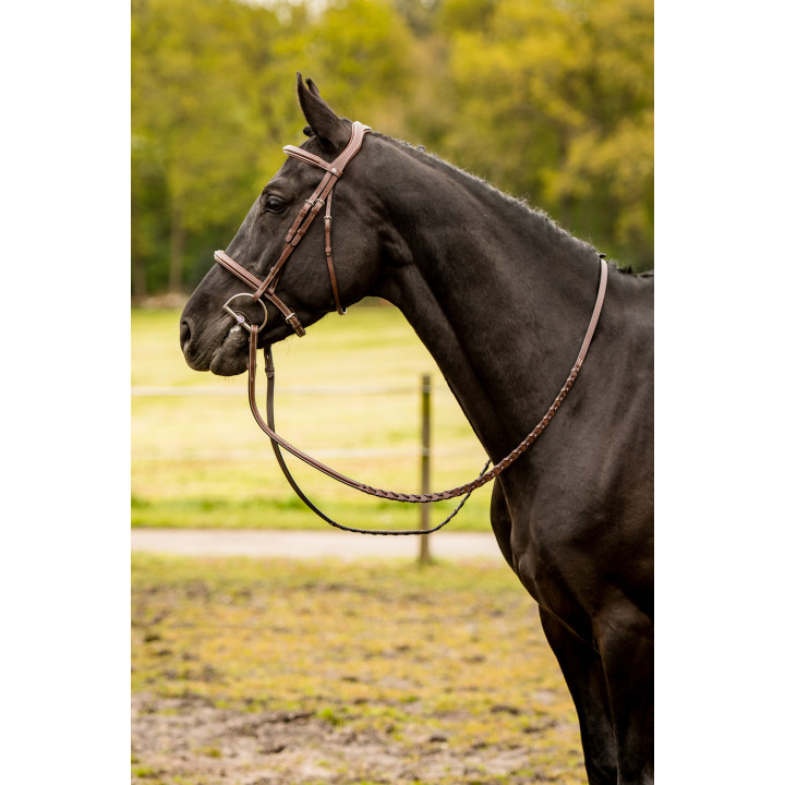 Hunter bridle Kentucky