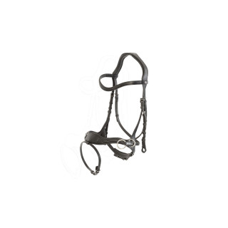 Falsterbo T-motion bridle