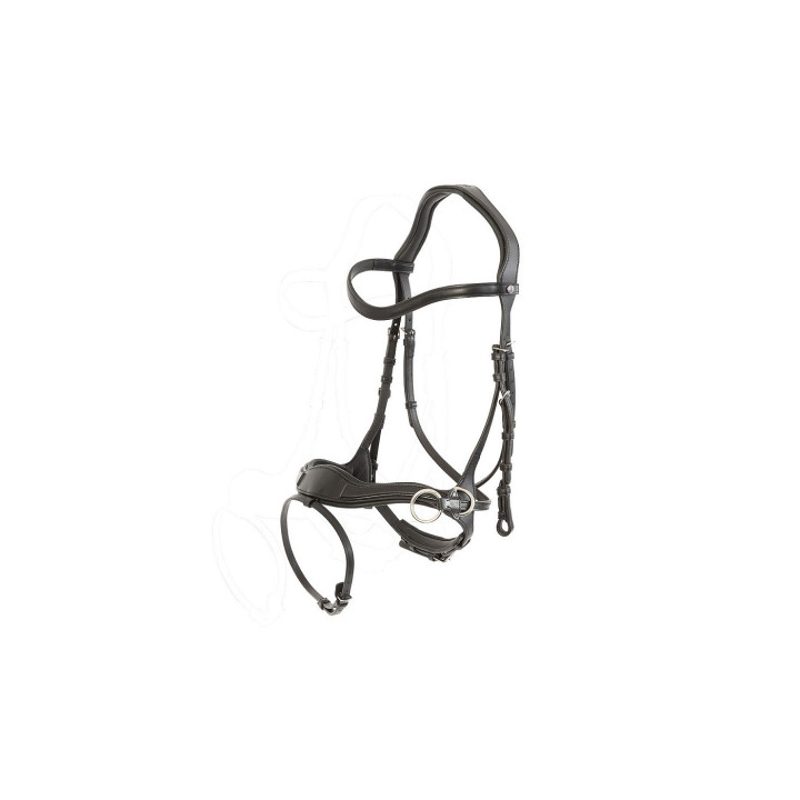 Falsterbo T-motion bridle